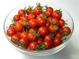 cây cà chua bi nhiều quả